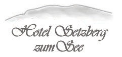 setzberg logo